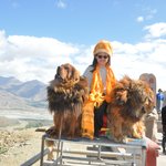 Photo taken by Karen W