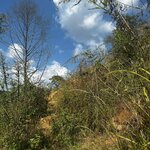 Photo taken by Eileen F