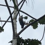 Photo taken by Jacob S