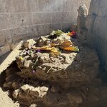 Photo taken by Judi S