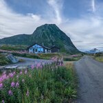 Photo taken by Dani L