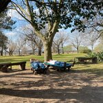 Photo taken by Lara S