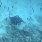 Photo taken by Stephanie A