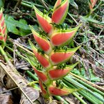 Photo taken by Susan O