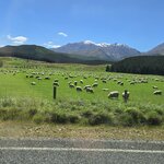 Photo taken by Rand M