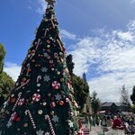 Photo taken by Rahul S