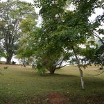 Photo taken by Peter J