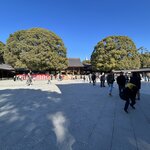 Photo taken by Debbie G