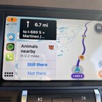 Photo taken by kirsten b