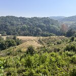 Photo taken by Bailey W