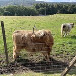 Photo taken by Marcos M