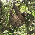 Photo taken by Karen P