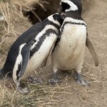 Photo taken by Sharon B