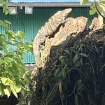 Photo taken by Brian L