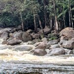 Photo taken by Judy H