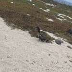 Photo taken by Jessica S