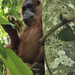 Photo taken by Minu C