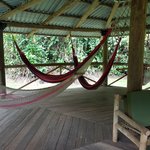 Photo taken by Anne T