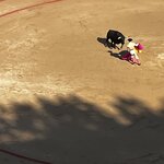 Photo taken by Liz S