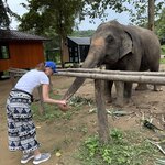 Photo taken by Lisa M