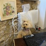 Photo taken by jennifer j