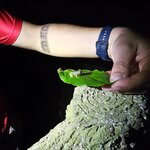 Photo taken by Touraj K