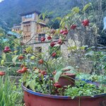 Photo taken by Jill T