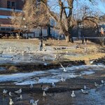 Photo taken by Sarah B