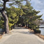 Photo taken by Zulhelmi R