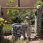 Photo taken by Jay H