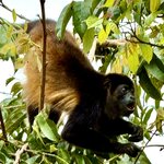 Photo taken by KLAUS A