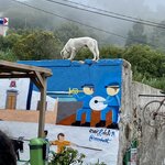 Photo taken by Stella S