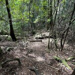 Photo taken by Amy Z