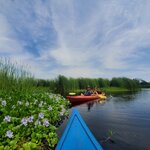 Photo taken by Camille S