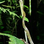 Photo taken by Susan D