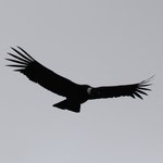 Photo taken by David H