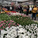 Photo taken by Monique L