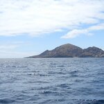 Photo taken by Patricia D