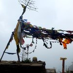 Photo taken by Jill S