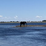 Photo taken by rhonda c