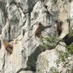 Photo taken by Chad K