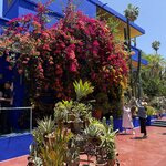 Photo taken by Vivianh H