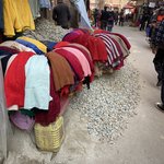 Photo taken by Wayne D