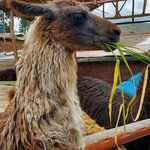 Photo taken by Nancy L