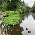 River Thames at Hurley | Photo taken by Steven Lee J