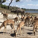 Photo taken by rhonda c