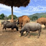 Photo taken by Megan H