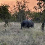 Photo taken by rhonda c