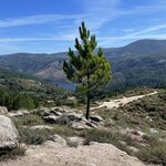 Photo taken by Julie G