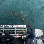 Photo taken by Michael Z